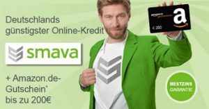 Smava Erfahrung Finanzinspektor